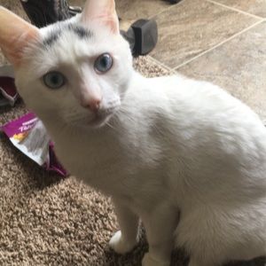 Meet your Posher, Kelsey